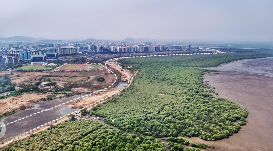 Navi Mumbai’s Infrastructure Boom: Coastal Road Projects Set to Transform Connectivity